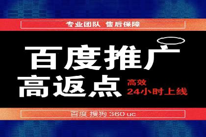 成功案例解读：SEM推广代运营策略