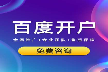 SEM广告投放的精准定位与优化案例